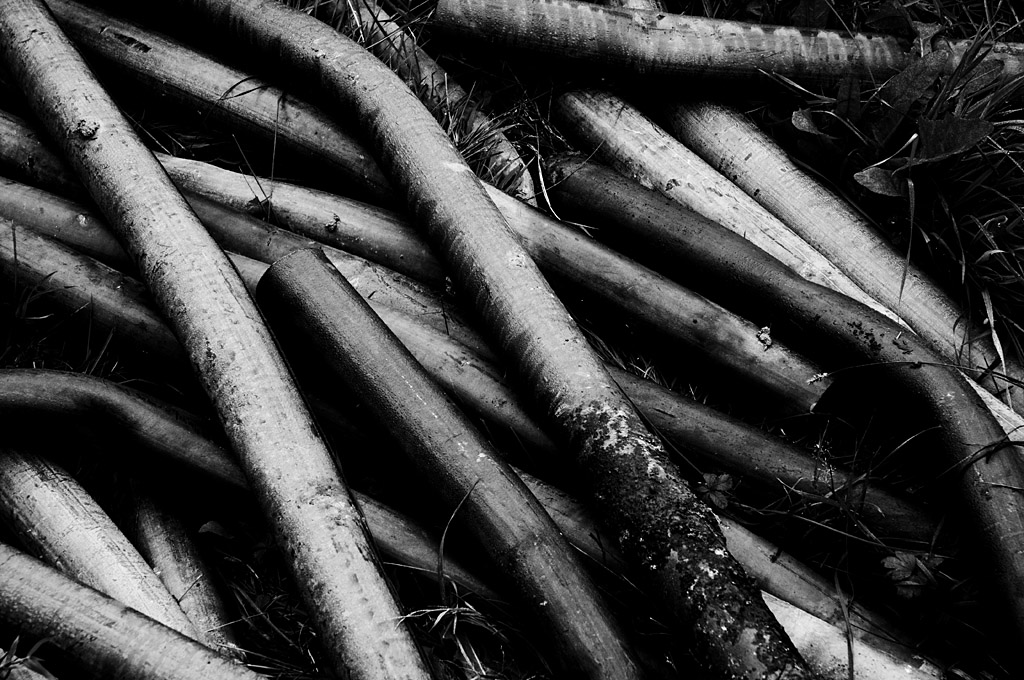 Teh intartubes are evil. We should quit them.