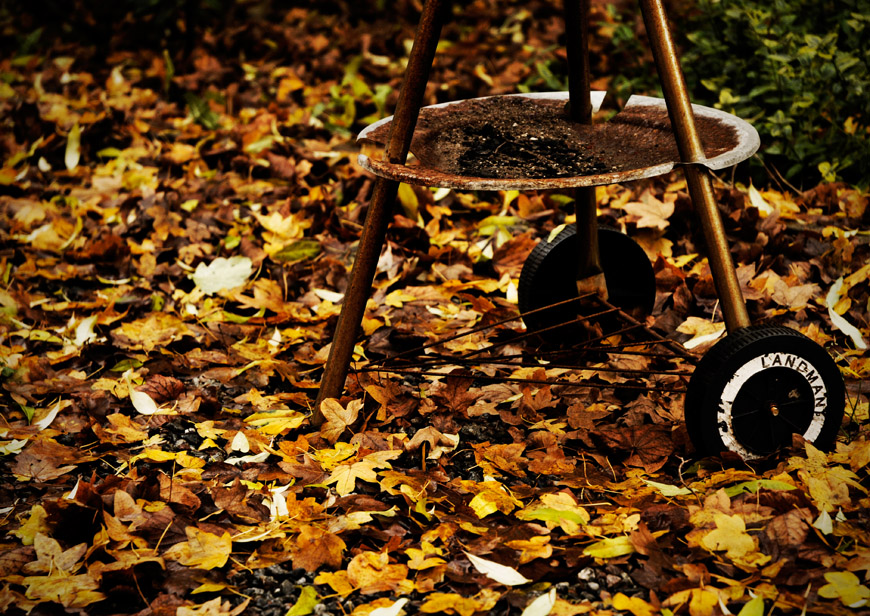 Autumn BBQ