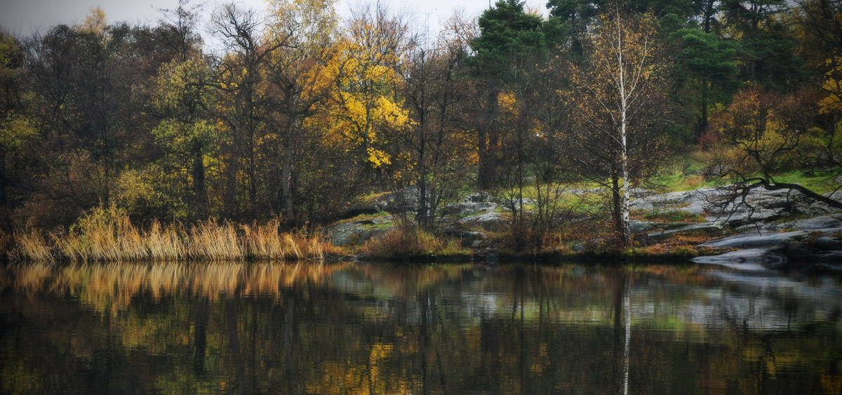 Autumn view from our balcony