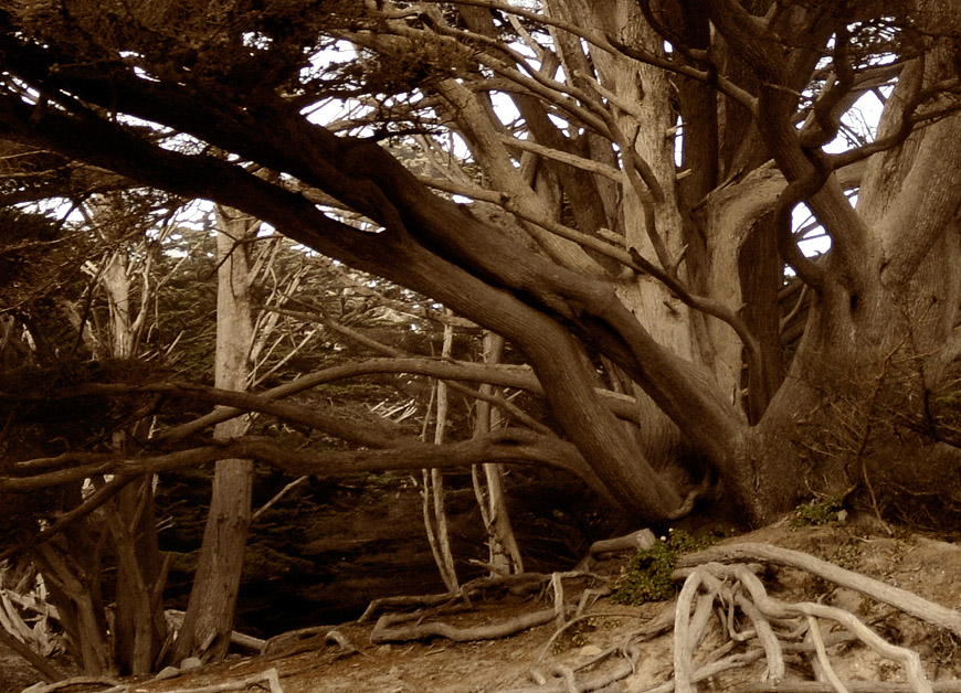 Pfeiffer beach - Big Sur - California