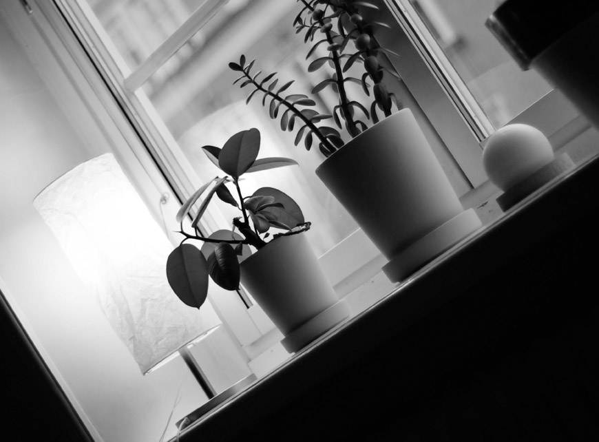 Living room window