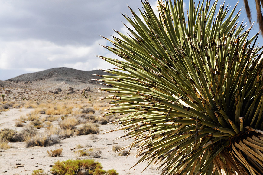 Death Valley