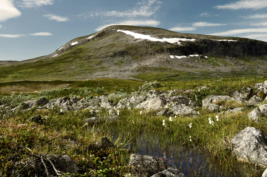 Swedish Mountain View