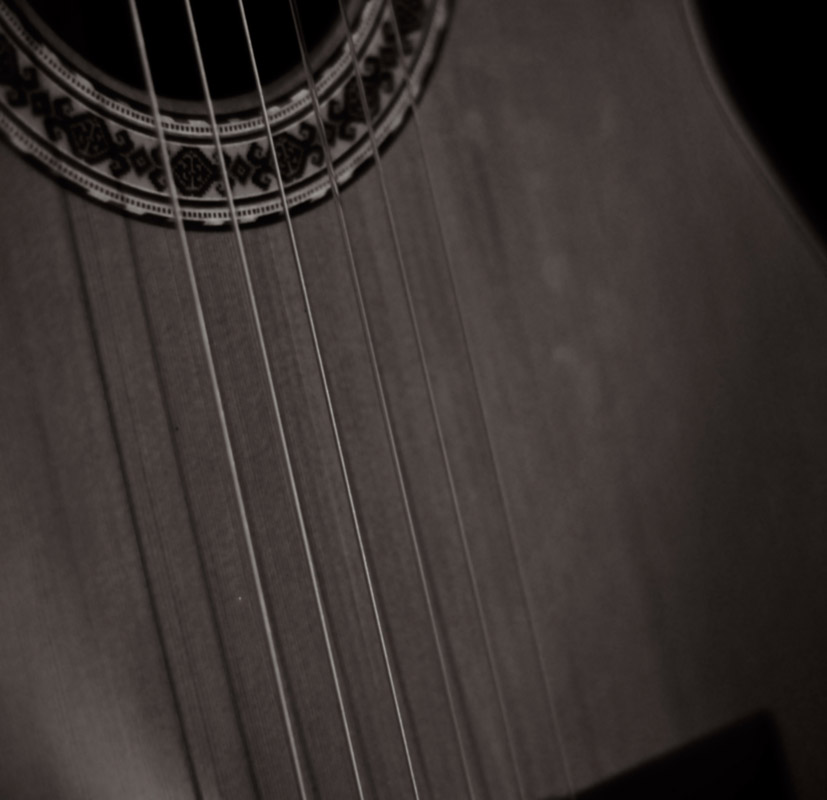 Guitar