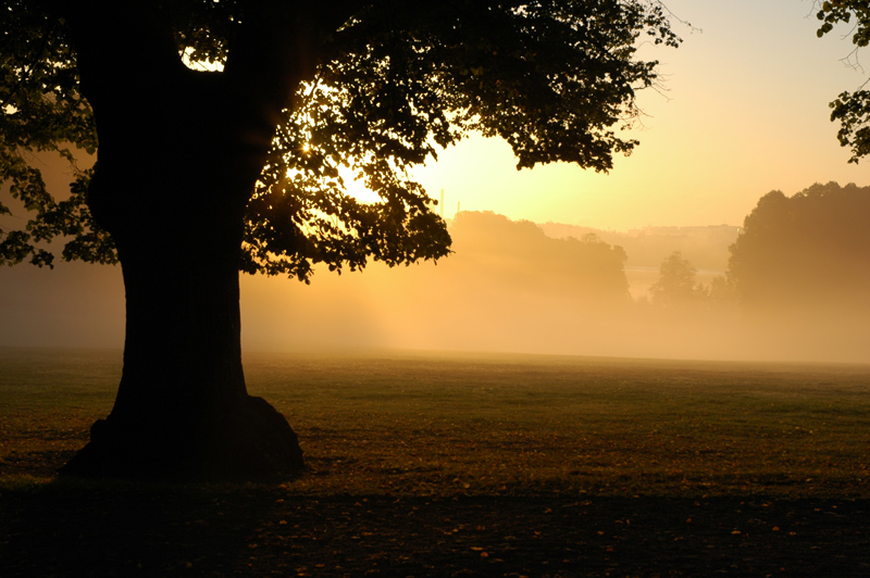 Sunshine mist