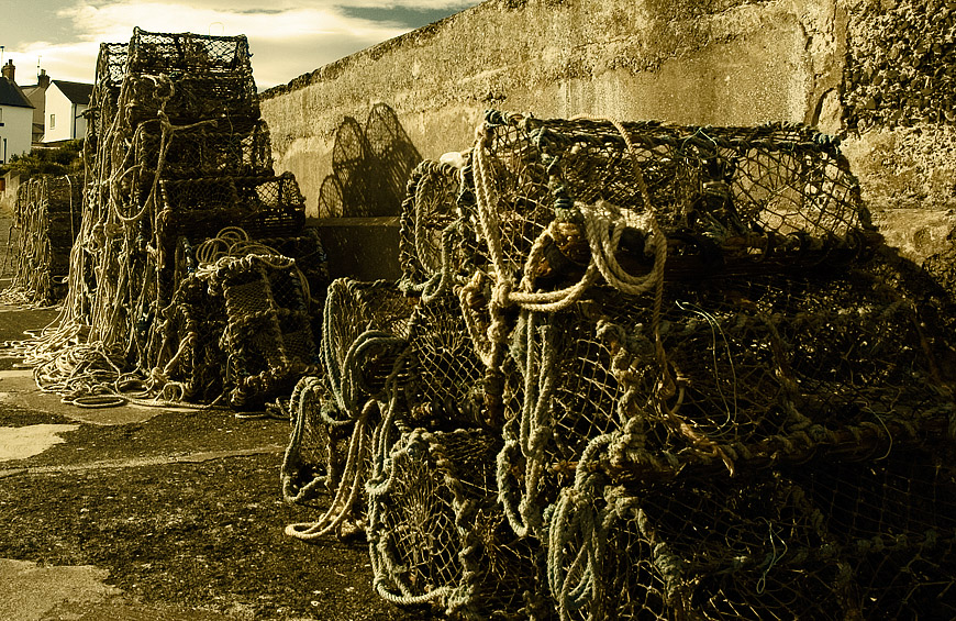 Cages