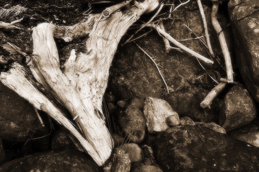 Stones and dried wood