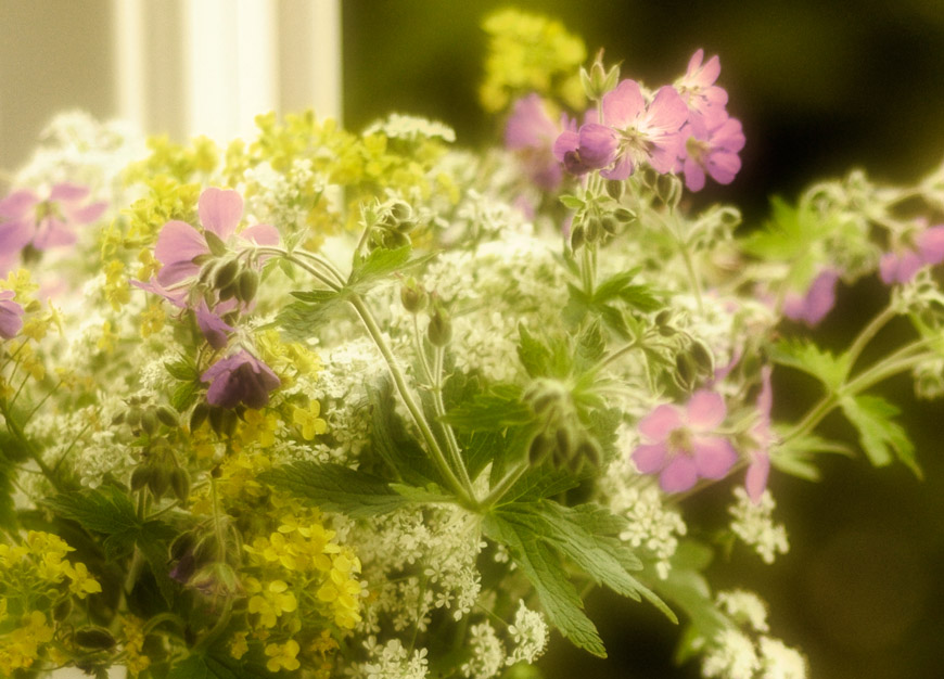 Summer Flowers