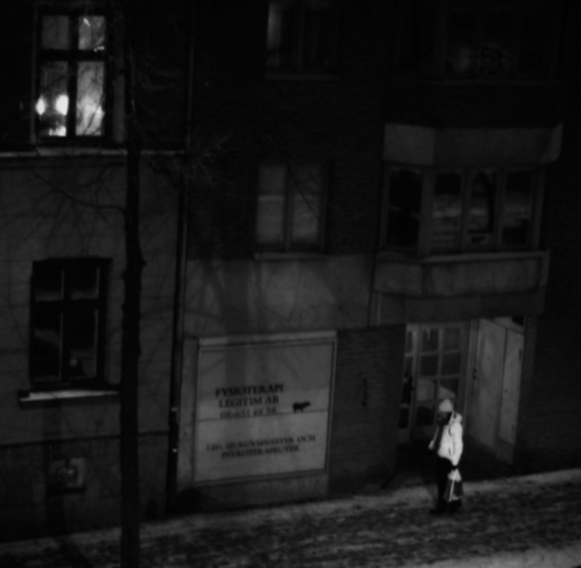 Walking in November Snow
