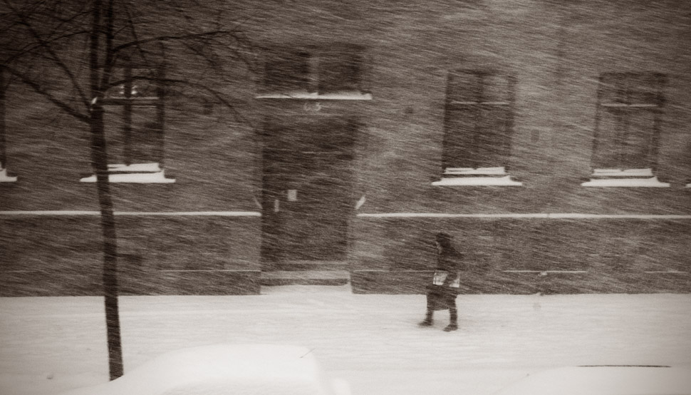 Winter wonderland outside our window